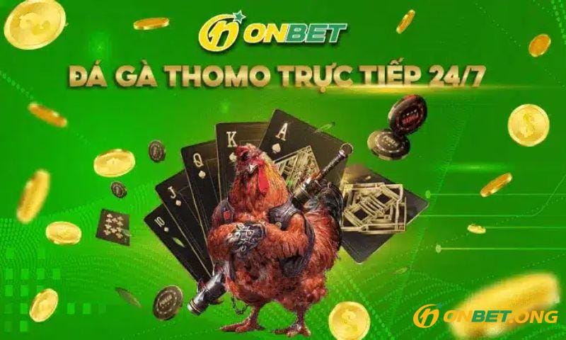 Tham gia đá gà Onbet nhận tiền thưởng lớn.